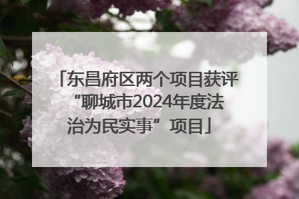 东昌府区两个项目获评“聊城市2024年度法治为民实事”项目