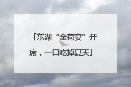 东湖“全荷宴”开席，一口吃掉夏天
