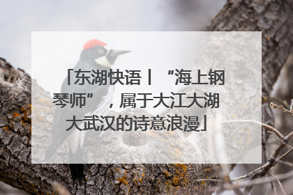 东湖快语丨“海上钢琴师”，属于大江大湖大武汉的诗意浪漫