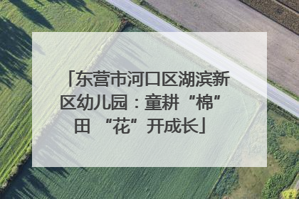 东营市河口区湖滨新区幼儿园：童耕“棉”田 “花”开成长