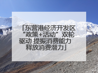 东营港经济开发区“政策+活动”双轮驱动 提振消费能力 释放消费潜力