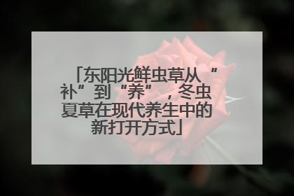 东阳光鲜虫草从“补”到“养”，冬虫夏草在现代养生中的新打开方式