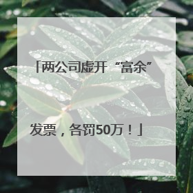 两公司虚开“富余”发票，各罚50万！