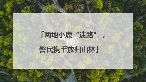 两地小鹿“迷路”，警民携手放归山林