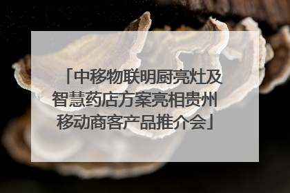 中移物联明厨亮灶及智慧药店方案亮相贵州移动商客产品推介会