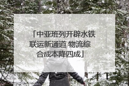 中亚班列开辟水铁联运新通道 物流综合成本降四成