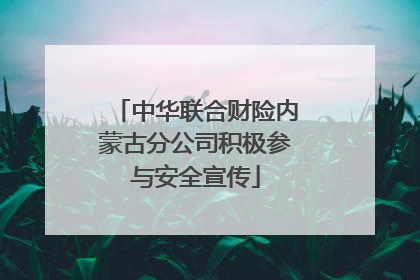 中华联合财险内蒙古分公司积极参与安全宣传