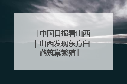 中国日报看山西｜山西发现东方白鹳筑巢繁殖