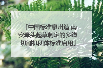 中国标准泉州造 南安牵头起草制定的多线切割机团体标准启用