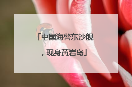 中国海警东沙舰，现身黄岩岛