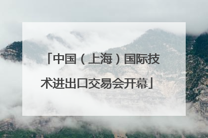中国（上海）国际技术进出口交易会开幕