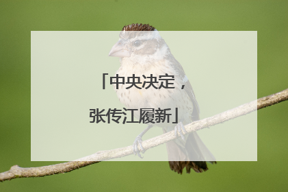 中央决定，张传江履新