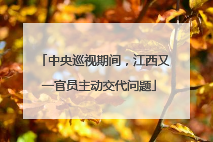 中央巡视期间，江西又一官员主动交代问题