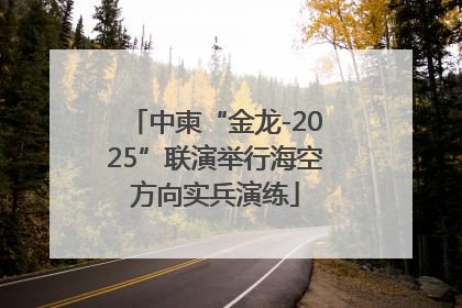 中柬“金龙-2025”联演举行海空方向实兵演练