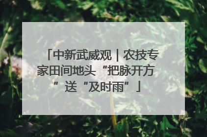 中新武威观｜农技专家田间地头“把脉开方”送“及时雨”
