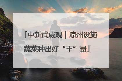 中新武威观｜凉州设施蔬菜种出好“丰”景
