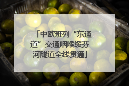 中欧班列“东通道”交通咽喉绥芬河隧道全线贯通