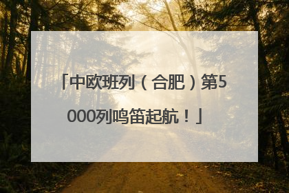 中欧班列（合肥）第5000列鸣笛起航！