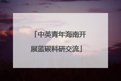 中英青年海南开展蓝碳科研交流