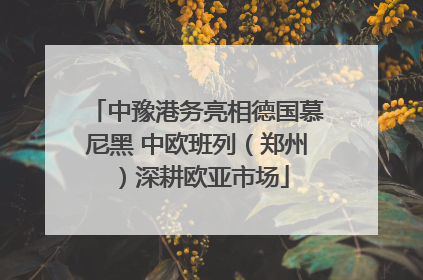 中豫港务亮相德国慕尼黑 中欧班列（郑州）深耕欧亚市场