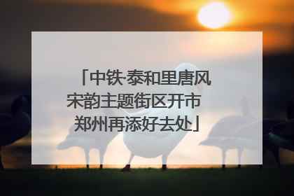 中铁·泰和里唐风宋韵主题街区开市 郑州再添好去处