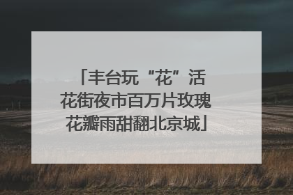 丰台玩“花”活 花街夜市百万片玫瑰花瓣雨甜翻北京城