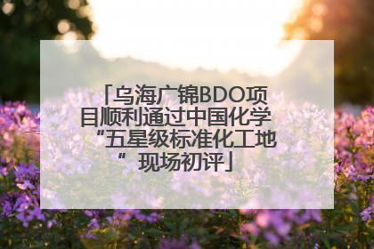 乌海广锦BDO项目顺利通过中国化学“五星级标准化工地”现场初评