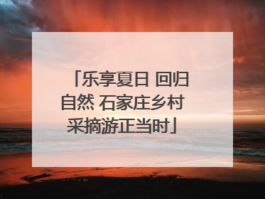 乐享夏日 回归自然 石家庄乡村采摘游正当时
