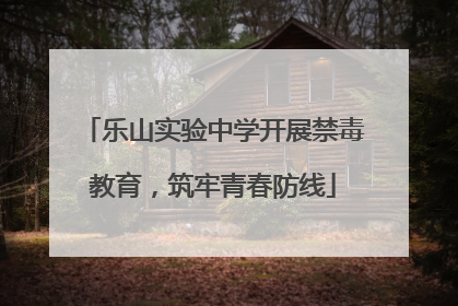 乐山实验中学开展禁毒教育，筑牢青春防线