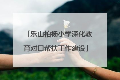 乐山柏杨小学深化教育对口帮扶工作建设