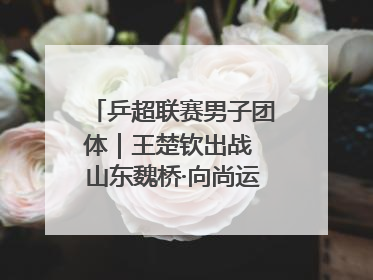 乒超联赛男子团体｜王楚钦出战 山东魏桥·向尚运动胜四川丰谷