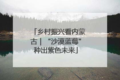 乡村振兴看内蒙古｜“沙漠蓝莓”种出紫色未来