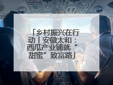 乡村振兴在行动丨安徽太和：西瓜产业铺就“甜蜜”致富路