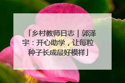 乡村教师日志｜郭泽宇：开心助学，让每粒种子长成最好模样