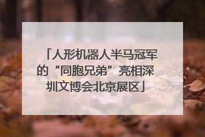 人形机器人半马冠军的“同胞兄弟”亮相深圳文博会北京展区