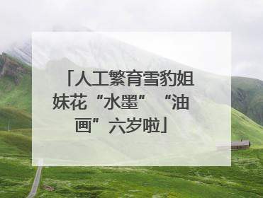 人工繁育雪豹姐妹花“水墨”“油画”六岁啦