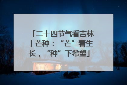 二十四节气看吉林丨芒种：“芒”着生长，“种”下希望