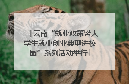 云南“就业政策暨大学生就业创业典型进校园”系列活动举行