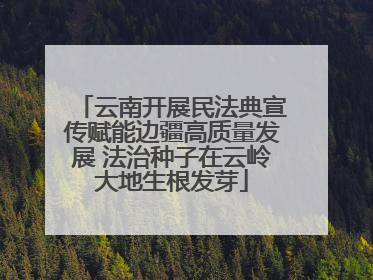 云南开展民法典宣传赋能边疆高质量发展 法治种子在云岭大地生根发芽