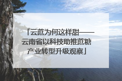 云蔗为何这样甜——云南省以科技助推蔗糖产业转型升级观察