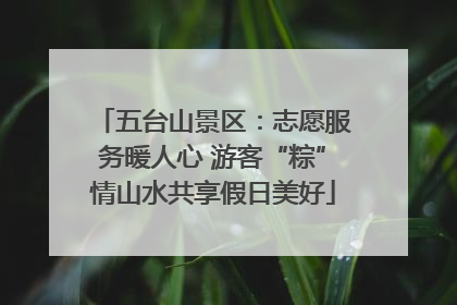 五台山景区：志愿服务暖人心 游客“粽”情山水共享假日美好