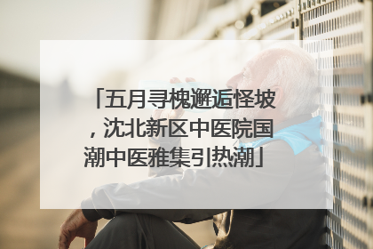 五月寻槐邂逅怪坡，沈北新区中医院国潮中医雅集引热潮