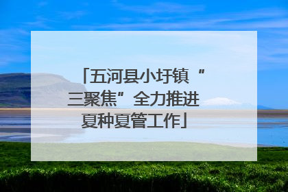 五河县小圩镇“三聚焦”全力推进夏种夏管工作