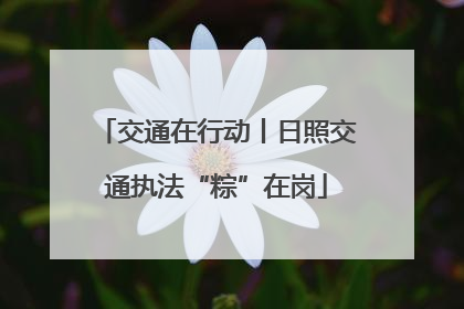 交通在行动丨日照交通执法“粽”在岗