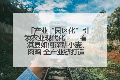 产业“园区化”引领农业现代化——看淇县如何深耕小麦、肉鸡 全产业链打造现代农业产业园