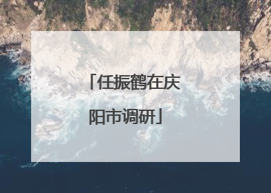 任振鹤在庆阳市调研