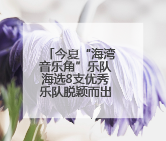 今夏“海湾音乐角”乐队海选8支优秀乐队脱颖而出，夏日巡演即将“乐动”青岛市南