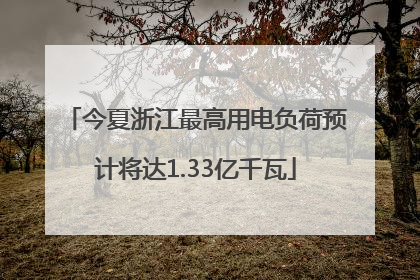 今夏浙江最高用电负荷预计将达1.33亿千瓦