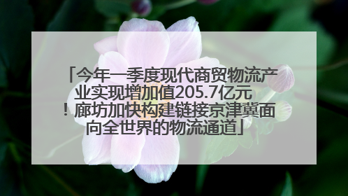 今年一季度现代商贸物流产业实现增加值205.7亿元！廊坊加快构建链接京津冀面向全世界的物流通道