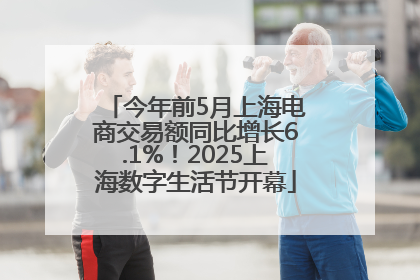 今年前5月上海电商交易额同比增长6.1%！2025上海数字生活节开幕